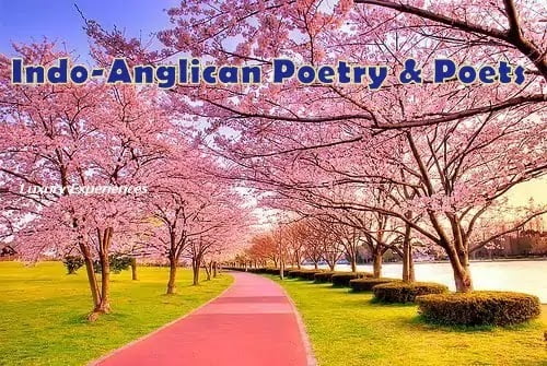 Indian Writing in English Poetry : The Best Essay