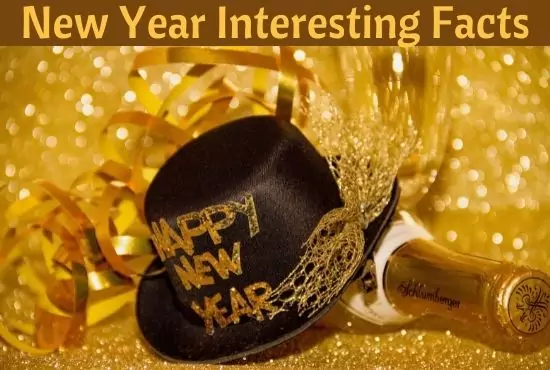 45 Best New Year Funny and Interesting Facts You Must Know