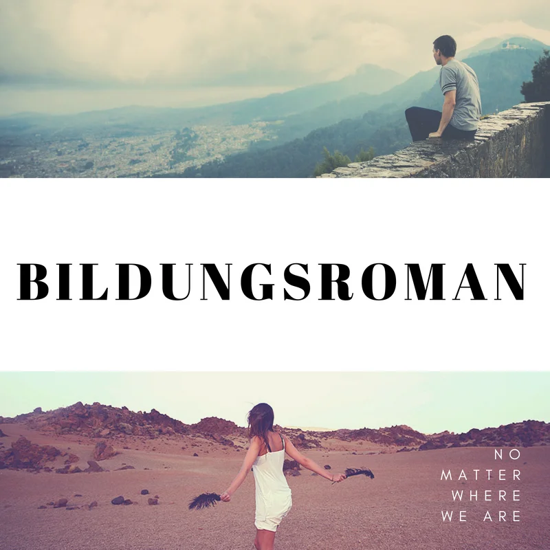 Write a Brief Note on Bildugsroman.