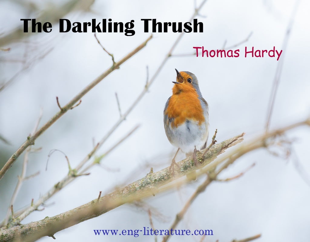 Bring out the contrast between Hardy’s Pessimism and the Thrush’s Optimism in the poem “The Darkling Thrush”.