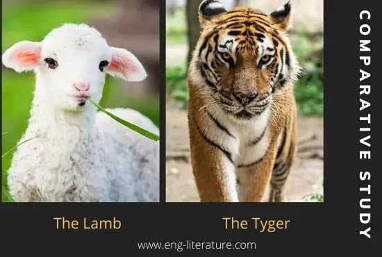 Compare and Contrast The Lamb and The Tyger by Blake - All About English  Literature