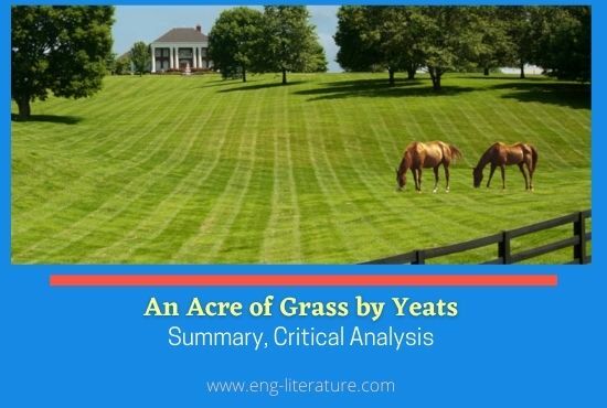 An Acre of Grass by W.B. Yeats, Summary, Critical Analysis, Representative Poem