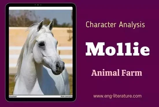 Mollie Animal Farm Character Analysis