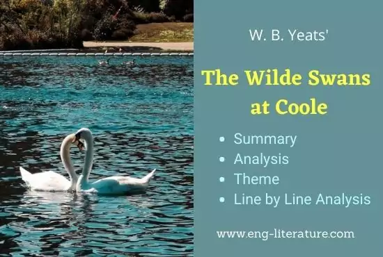 The Wild Swans at Coole | Summary, Analysis, Theme - All About English Literature