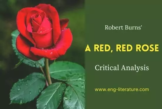 A Red, Red Rose by Robert Burns Analysis