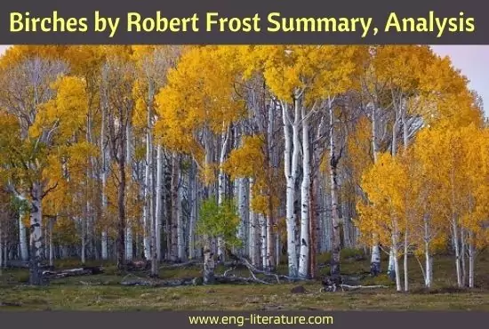 Birches Poem by Robert Frost | Summary, Analysis, Theme, Line by Line Analysis