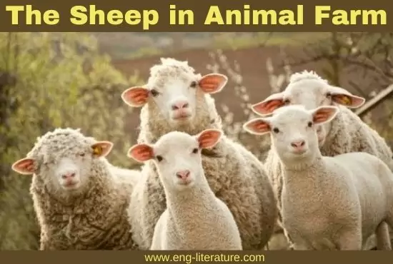 The Sheep Animal Farm | Character Analysis