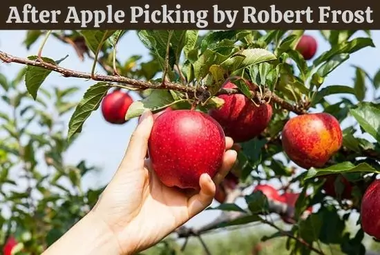 After Apple Picking | Summary, Analysis, Theme