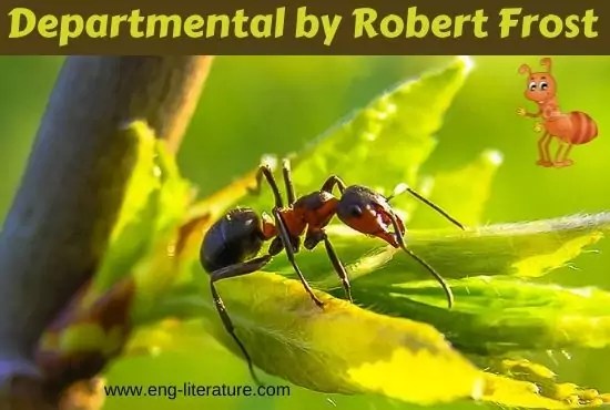 Departmental by Robert Frost | Summary, Analysis, Theme