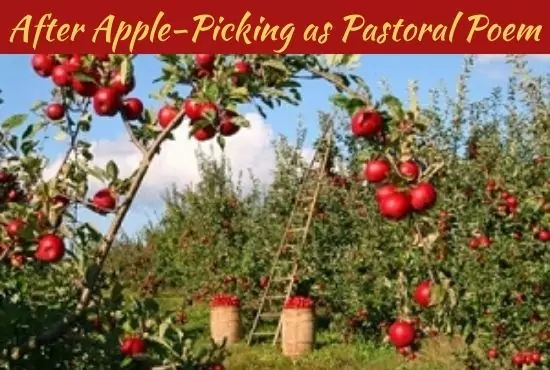 After Apple-Picking as a Pastoral Poem | After Apple-Picking as a Nature Poem