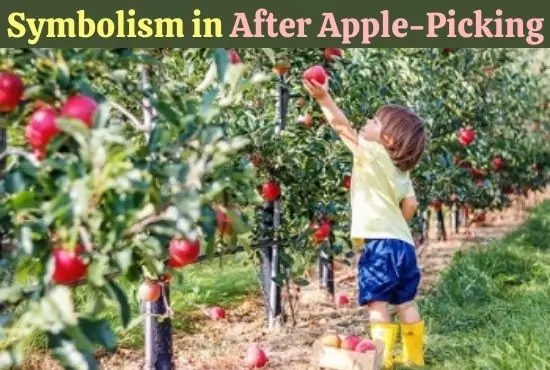 Symbolism in After Apple-Picking by Robert Frost
