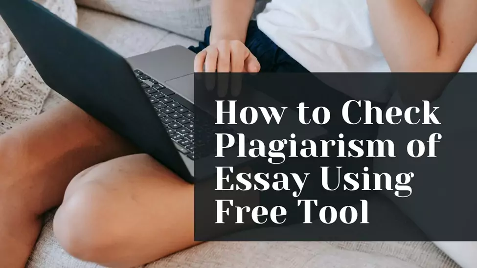 How to Check Plagiarism of Essay Using Free Tool