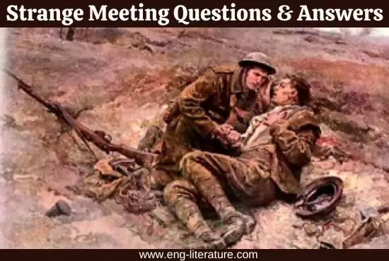 Strange Meeting by Wilfred Owen | Questions and Answers