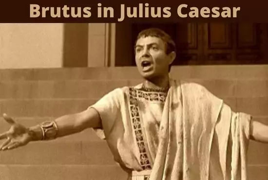 Brutus in Julius Caesar | Character Analysis