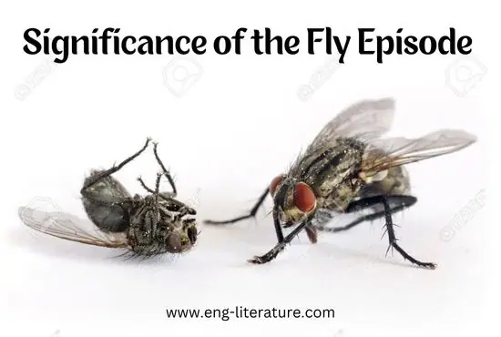 Significance of the Fly Episode in the Short Story The Fly by Katherine Mansfield