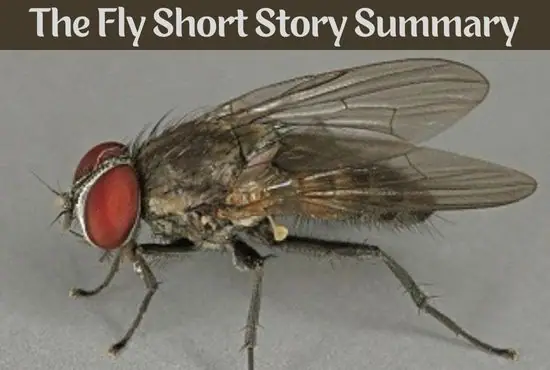  The Fly by Katherine Mansfield | Full Summary of the Short Story
