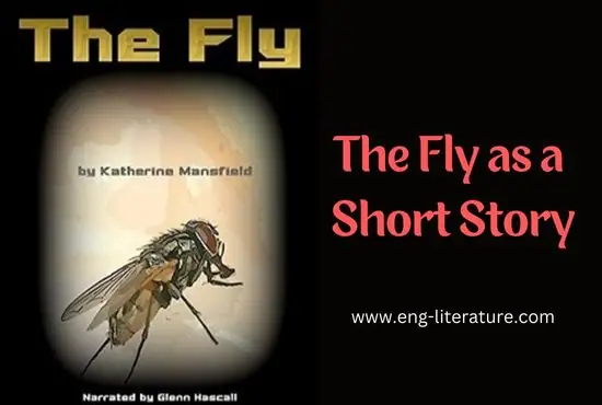 The Fly as a Short Story