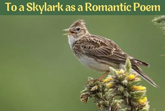 To a Skylark as a Romantic Poem