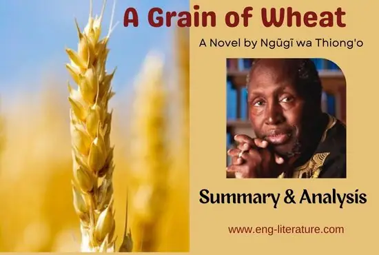 literature review of wheat