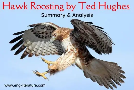 Hawk Roosting by Ted Hughes Summary and Analysis