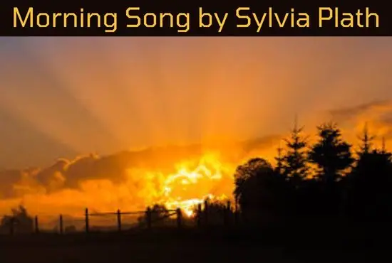 Morning Song by Sylvia Plath | Summary, Analysis, Theme, Explanations