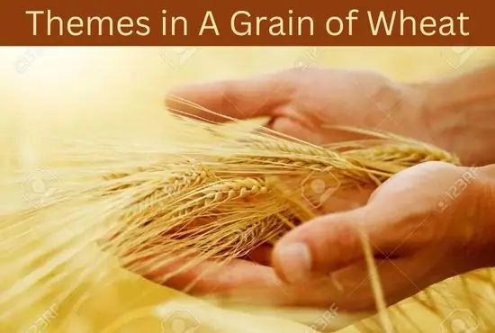 Themes in A Grain of Wheat