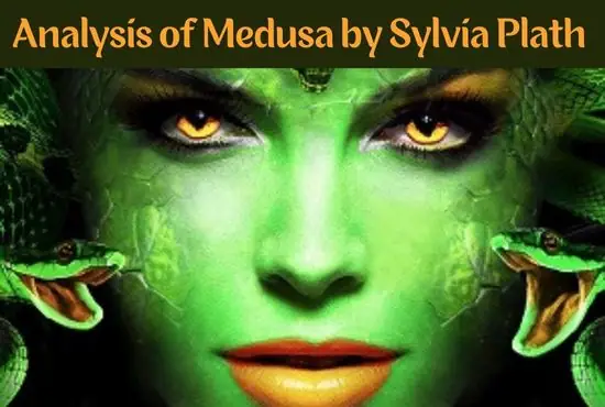 Analysis Of Medusa By Sylvia Plath