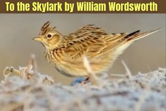 To the Skylark by William Wordsworth | Summary, Analysis, Theme, Line by Line Analysis