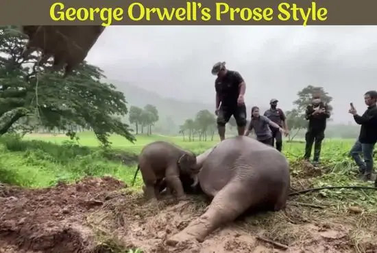 Prose Style of George Orwell in Shooting an Elephant