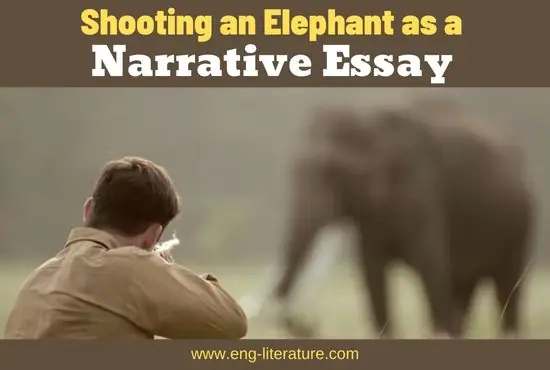 shooting an elephant narrative essay