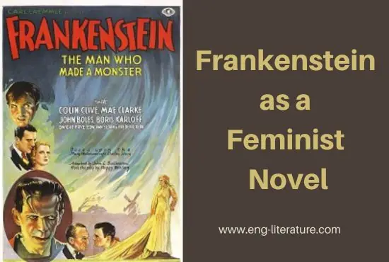 Frankenstein as a Feminist Novel