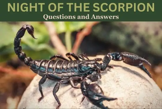 Night of the Scorpion by Nissim Ezekiel Questions and Answers